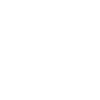 Spitz Hund - Spitz