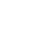 Hockey Evolution Feldhockey