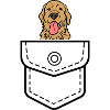 Dog Pocket