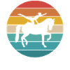 Voltigage | Retro Style