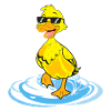 Duck Cool