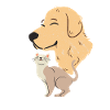 dog and cat