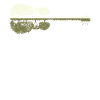 Nature Guitar