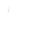 Fischkopp Fisch kopp Fischkopf