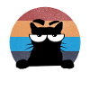 Chat grumpy
