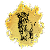 Lion Baby