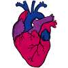 LGBT Bisexual Heart