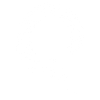 Viking Raven Odin
