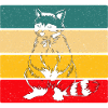 raccoon