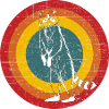 raccoon