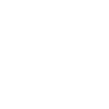 donkey