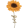 Sunflower Jesus