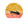 Retro Sun Ant Insect Gift