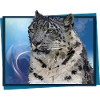 Schneeleopard