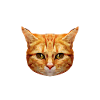 ACAB all cats are beautiful