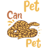 Python Snake Snake Owner