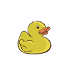 duck