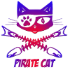 pirate cat