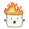 Funny Burning Marshmallow Camping Gift