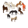 Espèces de chevaux, de chevaux, d’Arabes