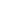 Shopa holic