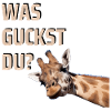 WAS GUCKST DU?