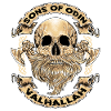 Skull Viking Valhalla