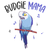 budgerigar