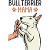 bull terrier