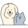 dog and cat