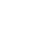 Seagull Silhouette