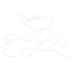 Polishing