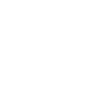 French Bulldog Puppy