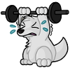 KraftKatzel Training Emote