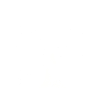 The Walking Cat