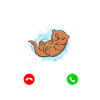 otter