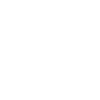 Vikings dragon-dragon Runenkompass