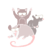 Opossum Possum