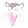 opossum