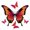 Papillons - Papillon