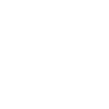 New York Institute