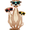cool meerkat group with sunglasses