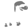 Funny Sleep Sheep