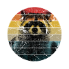 raccoon