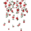 roses,vines,flowers, illustration,red, floral
