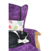 swarz white cat in armchair