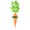 Carrot with sunglasses