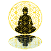 Flower of Life Meditation