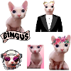 Bingus Meme