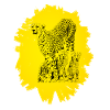 Guépard